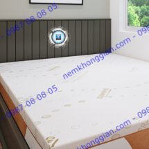NỆM CAO SU MOUSSE ALOEVERA SLEEP 01
