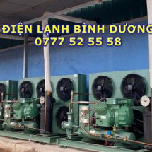 Thi công kho lạnh Bình Dương